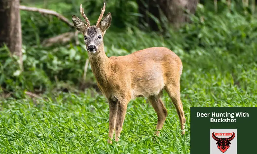 deer-hunting-with-buckshot